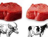 Cách phân biệt giữa thịt bò và thịt trâu
