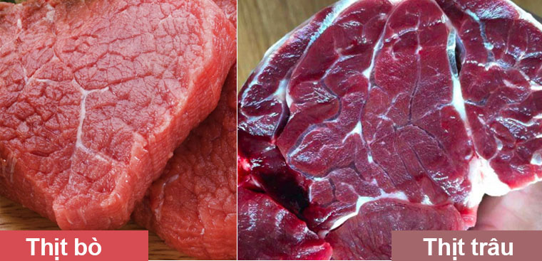 phân biệt thit trâu và thịt bò