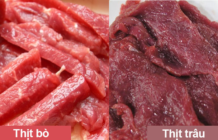 Phân biệt thịt bò và thịt trâu qua thớ thịt