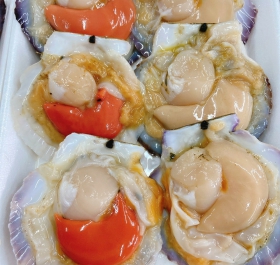 SÒ ĐIỆP NHẬT NỮA VỎ