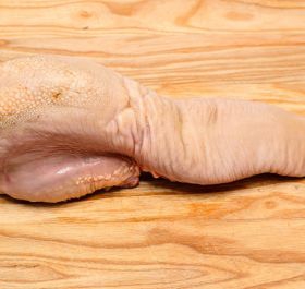 Lưỡi trâu (Ấn Độ) - Mã 86