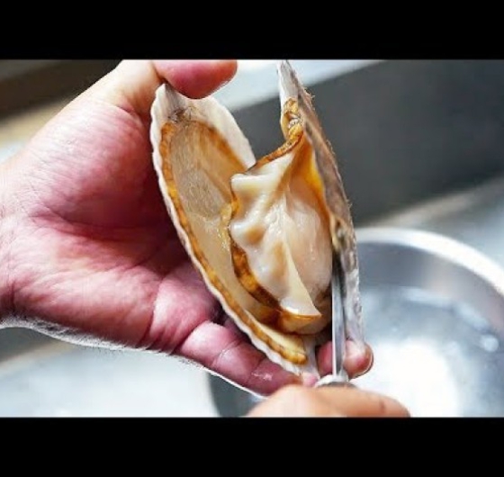 SÒ ĐIỆP NHẬT NGUYÊN VỎ (S 10-12)