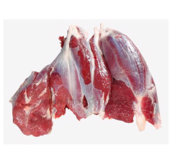 BẮP HOA TRÂU - MÃ 60