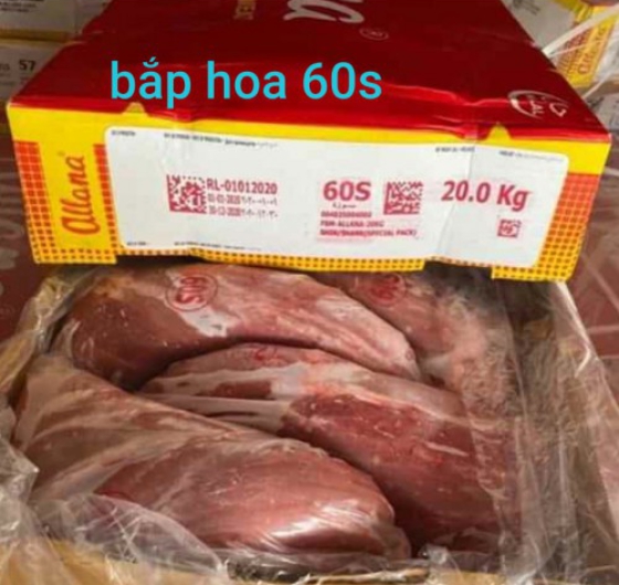 BẮP HOA TRÂU - MÃ 60