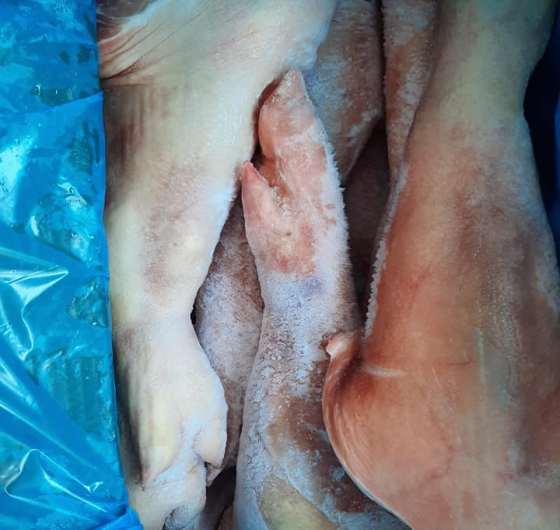 Chân giò heo (lợn) nguyên chiếc