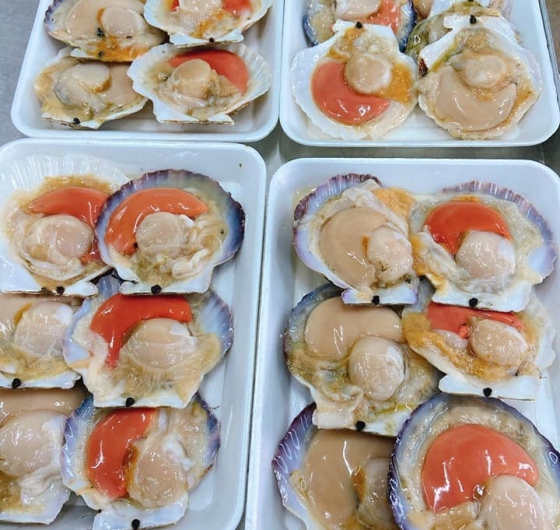 SÒ ĐIỆP NHẬT NGUYÊN VỎ (S 10-12)