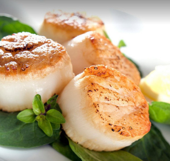 CÒI SÒ ĐIỆP NHẬT (size: 65-90)