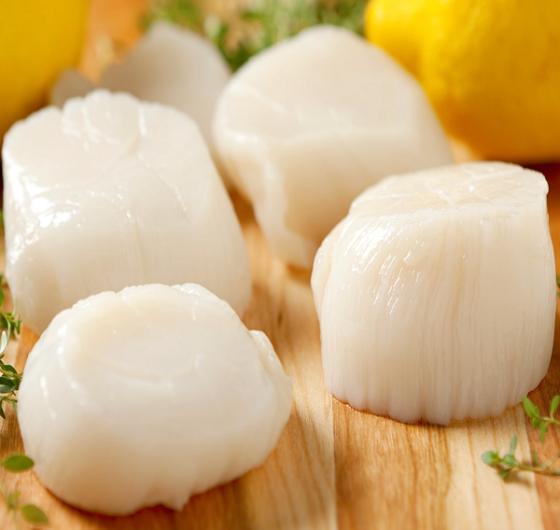 CÒI SÒ ĐIỆP NHẬT (size: 65-90)