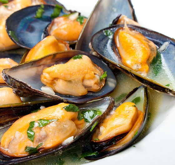 VẸM XANH NỮA VÕ NEWZEALAND (S35-45)