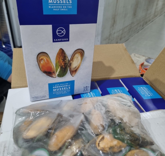 VẸM XANH NỮA VÕ NEWZEALAND (S35-45)