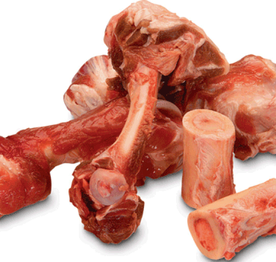 XƯƠNG ỐNG BÒ ÚC