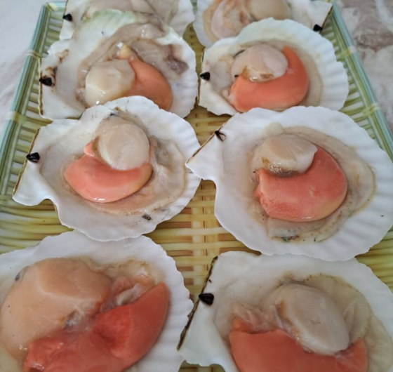 SÒ ĐIỆP NHẬT NỮA VỎ