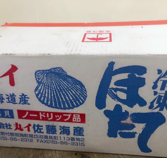 CÒI SÒ ĐIỆP NHẬT (size: 65-90)